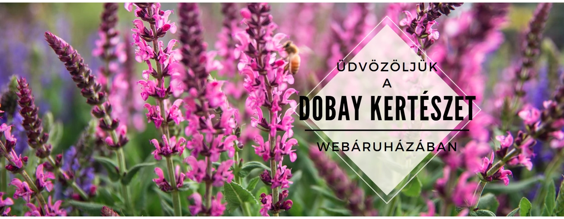 üdvözöljük