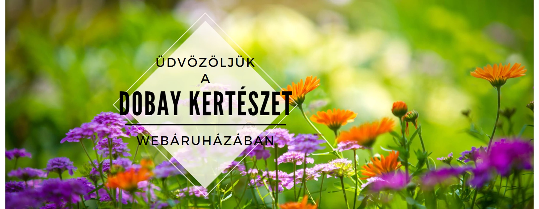 üdvözöljük