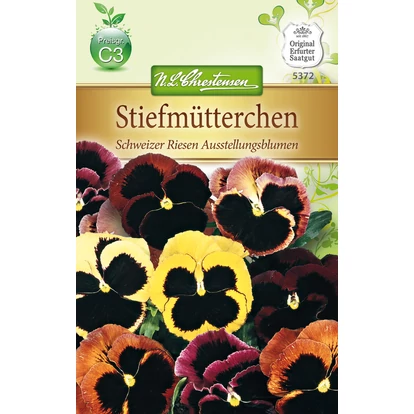 Árvácska 'Schweizer Riesen Ausstellungsblumen' / Viola x wittrockiana