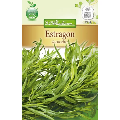 Tárkony 'Russischer' / Artemisia dracunculus