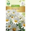 Margaréta &#039;Fehér&#039; / Chrysanthemum maximum