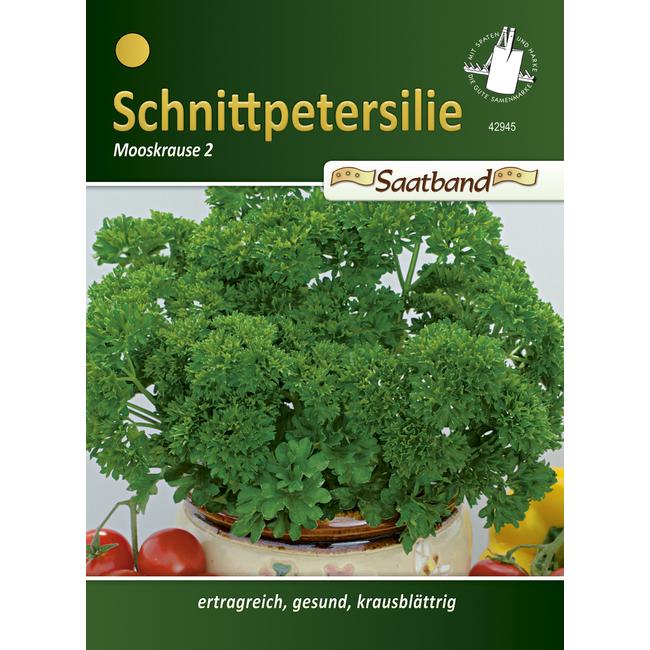 Metélőpetrezselyem 'Moskrul 2' / Petroselinum crispum