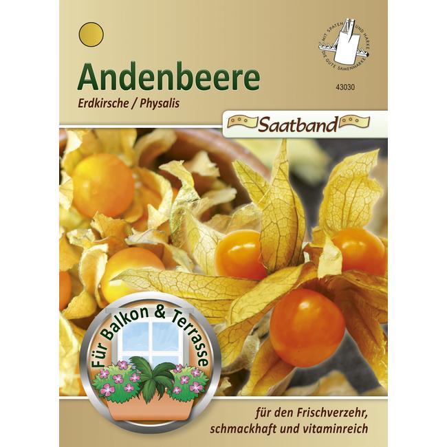Perui földicseresznye / Physalis peruviana