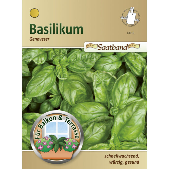 Bazsalikom 'Genoveser' / Ocimum basilicum