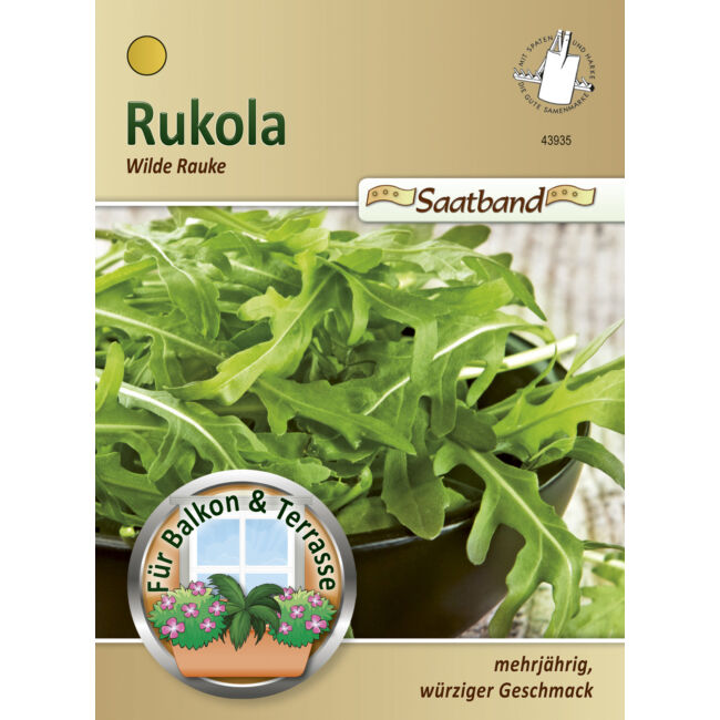 Évelő rukkola 'Wilde Rauke' / Diplotaxis tenuifolia