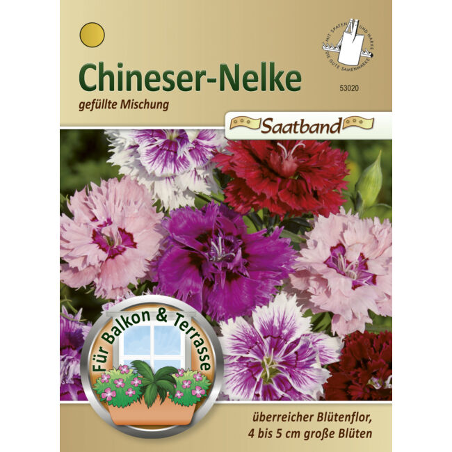 Kínai szegfű 'Gefüllte Mischung' / Dianthus chinensis