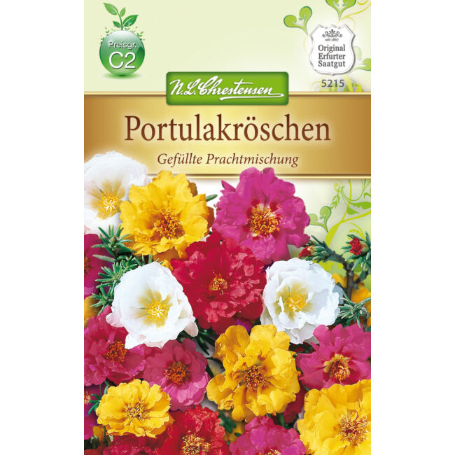 Porcsinrózsa 'Telt virágú színkeverék' / Portulaca grandiflora