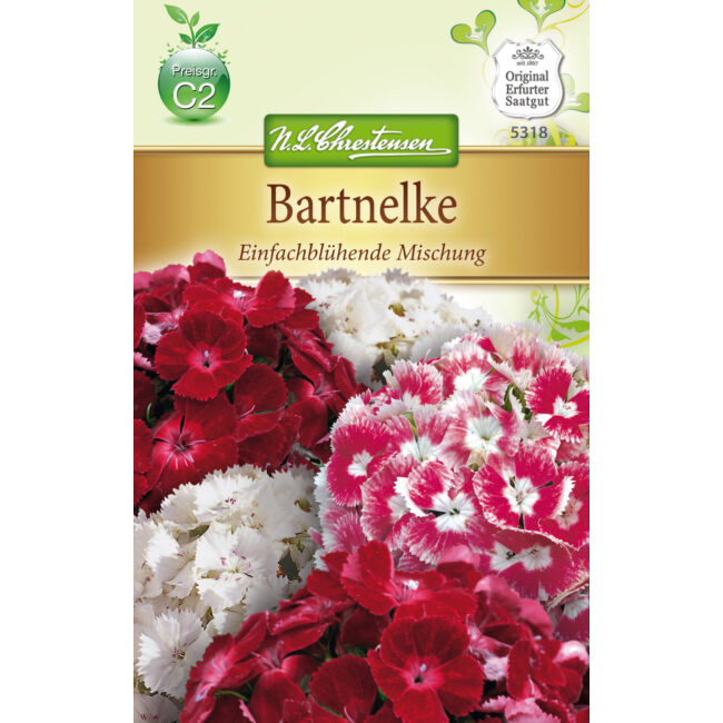 Török szegfű 'Egyszerű virágú színkeverék' / Dianthus barbatus