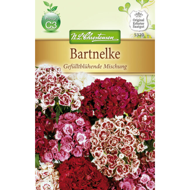 Török szegfű 'Telt virágú színkeverék' / Dianthus barbatus
