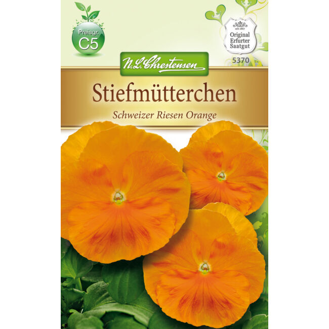 Árvácska 'Schweizer Riesen Orange' / Viola x wittrockiana