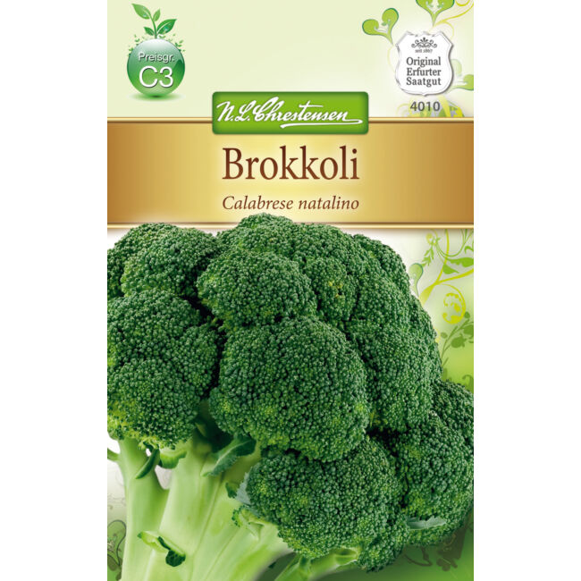 Brokkoli 'Calabrese natalino' / Brassica oleracae