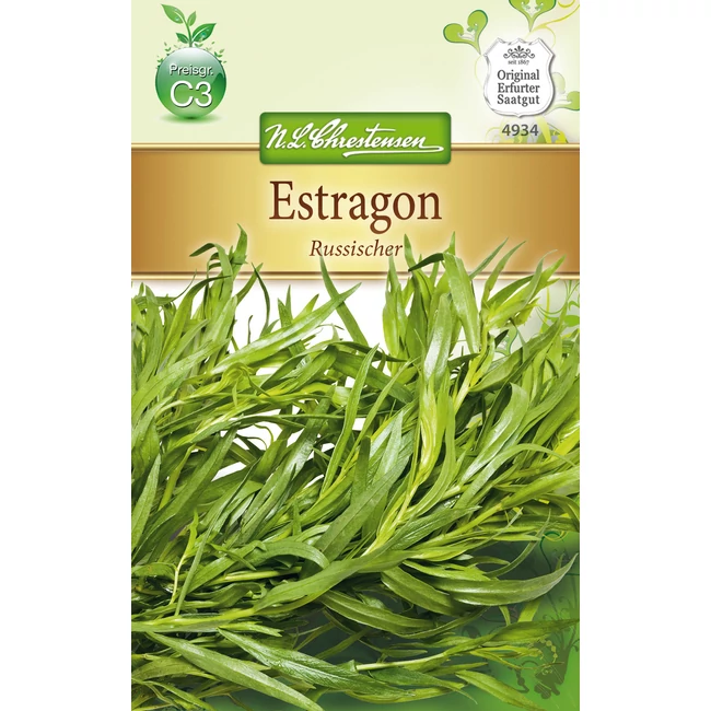 Tárkony 'Russischer' / Artemisia dracunculus