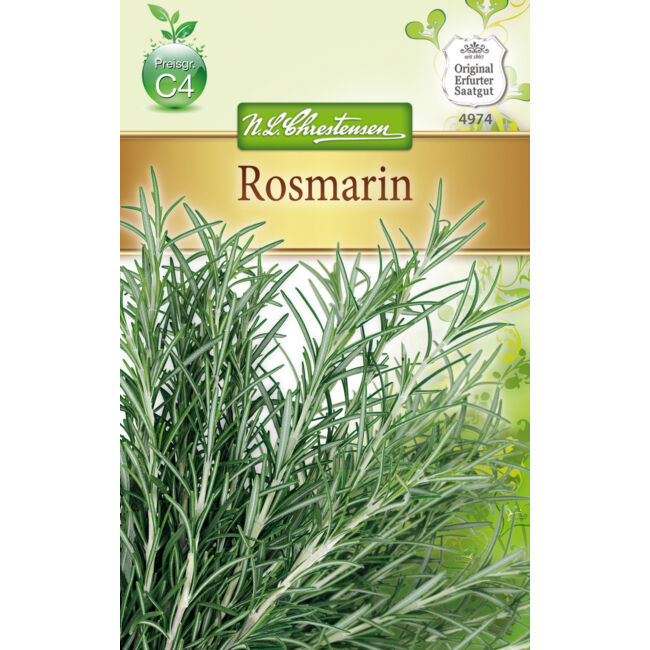 Rozmaring / Rosmarinus officinalis